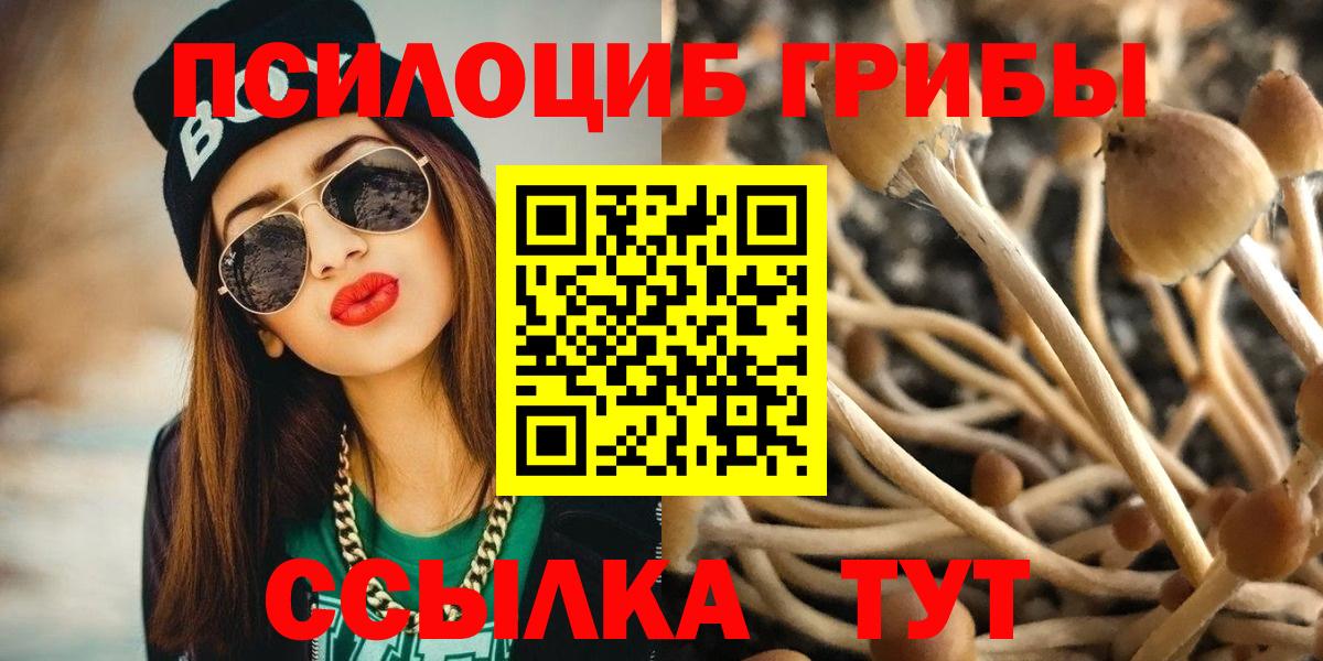 Галлюциногенные грибы MAGIC MUSHROOMS  Вход с VPN  цены наркотик  Псилоцибиновые грибы мицелий  Ялуторовск 